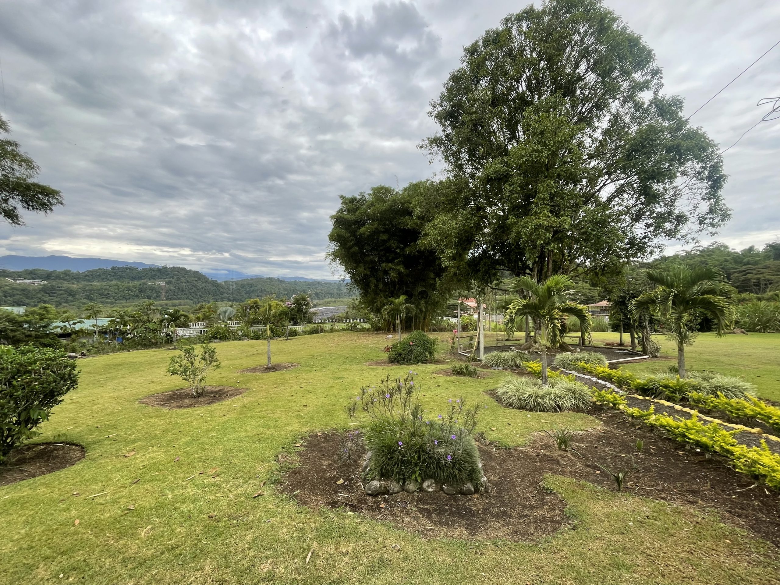 Encountering Beautiful Souls in The Rainforest: My Exceptional Experience with La Vida Divine Healing Institute